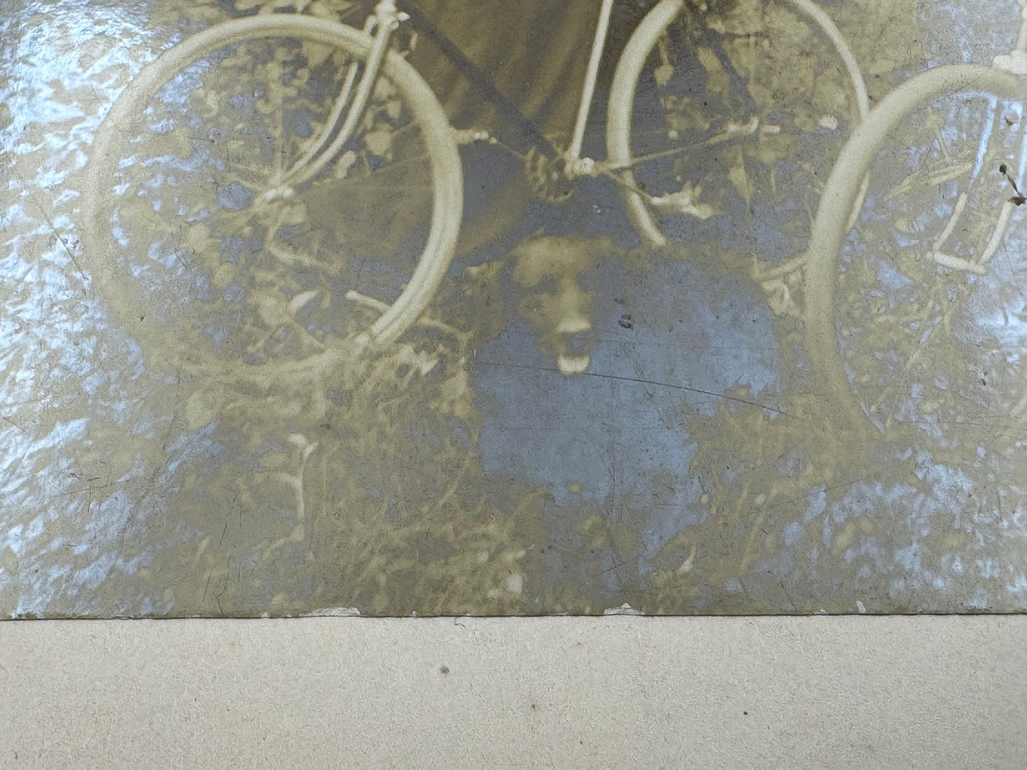 Vintage Victorian Women And Bikes Photo