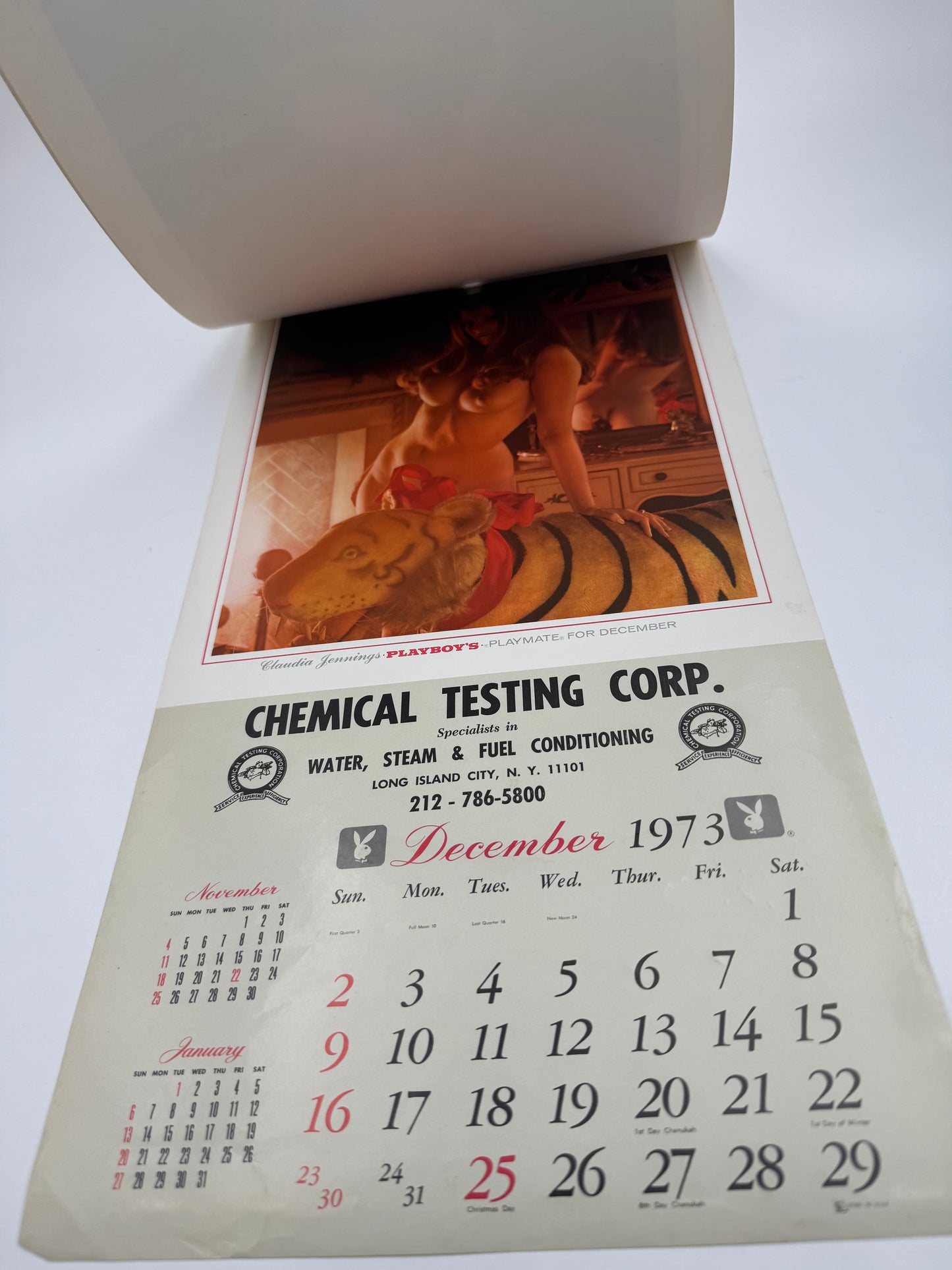 Vintage Pin Up Calendar Playboy Bunnies 1973 NOS