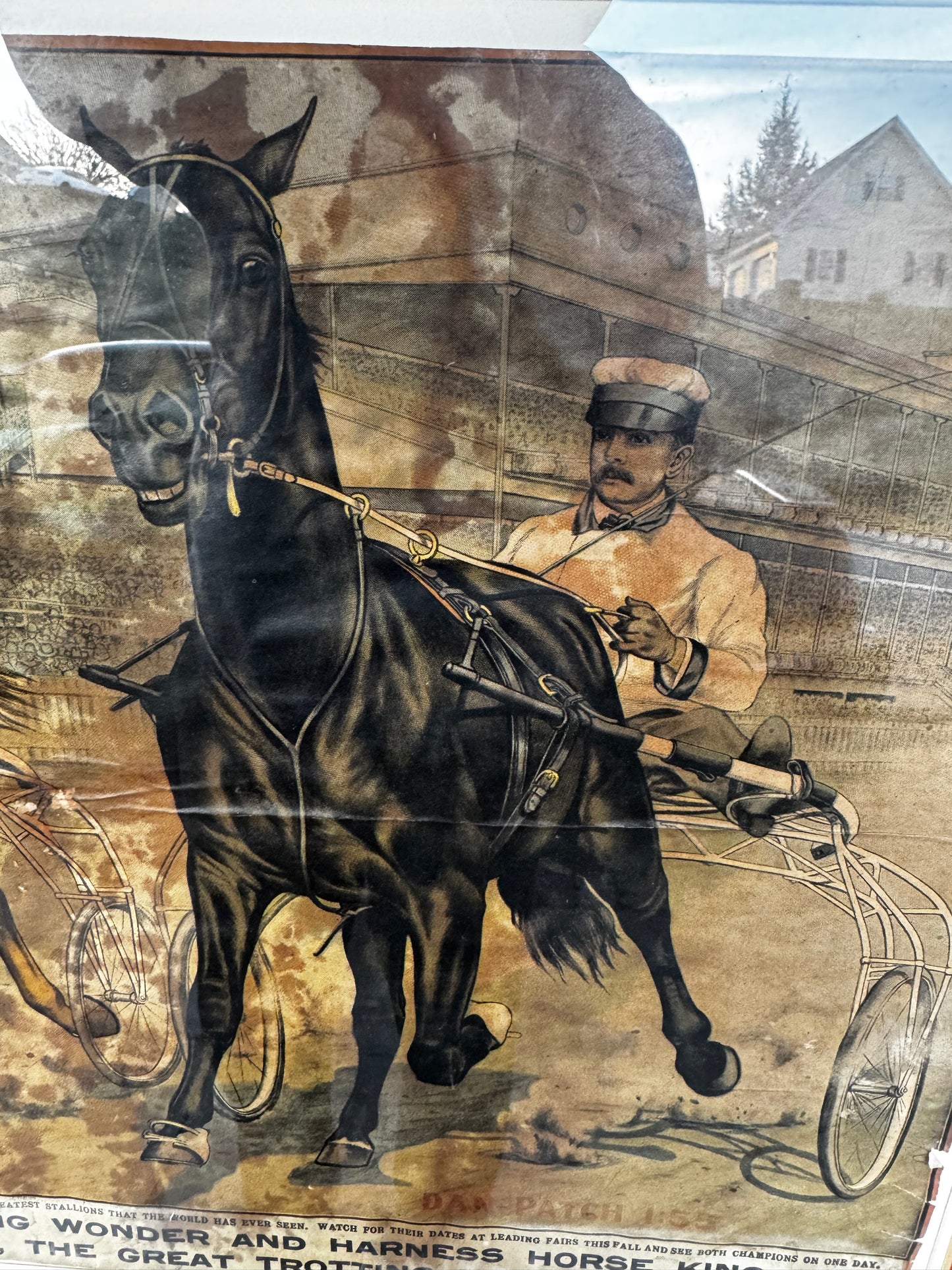 Vintage Dan Pouch Race Horse Ad Framed