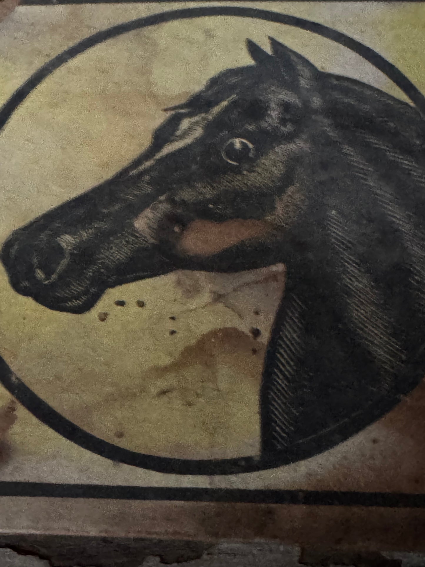 Vintage Kendall’s Sign Spavin Cure Paper