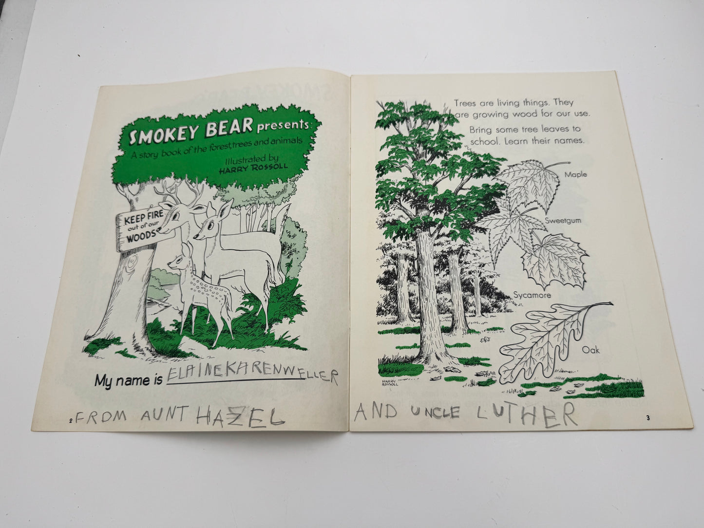 Vintage Smokey Bear Story Of The Forest Booklet