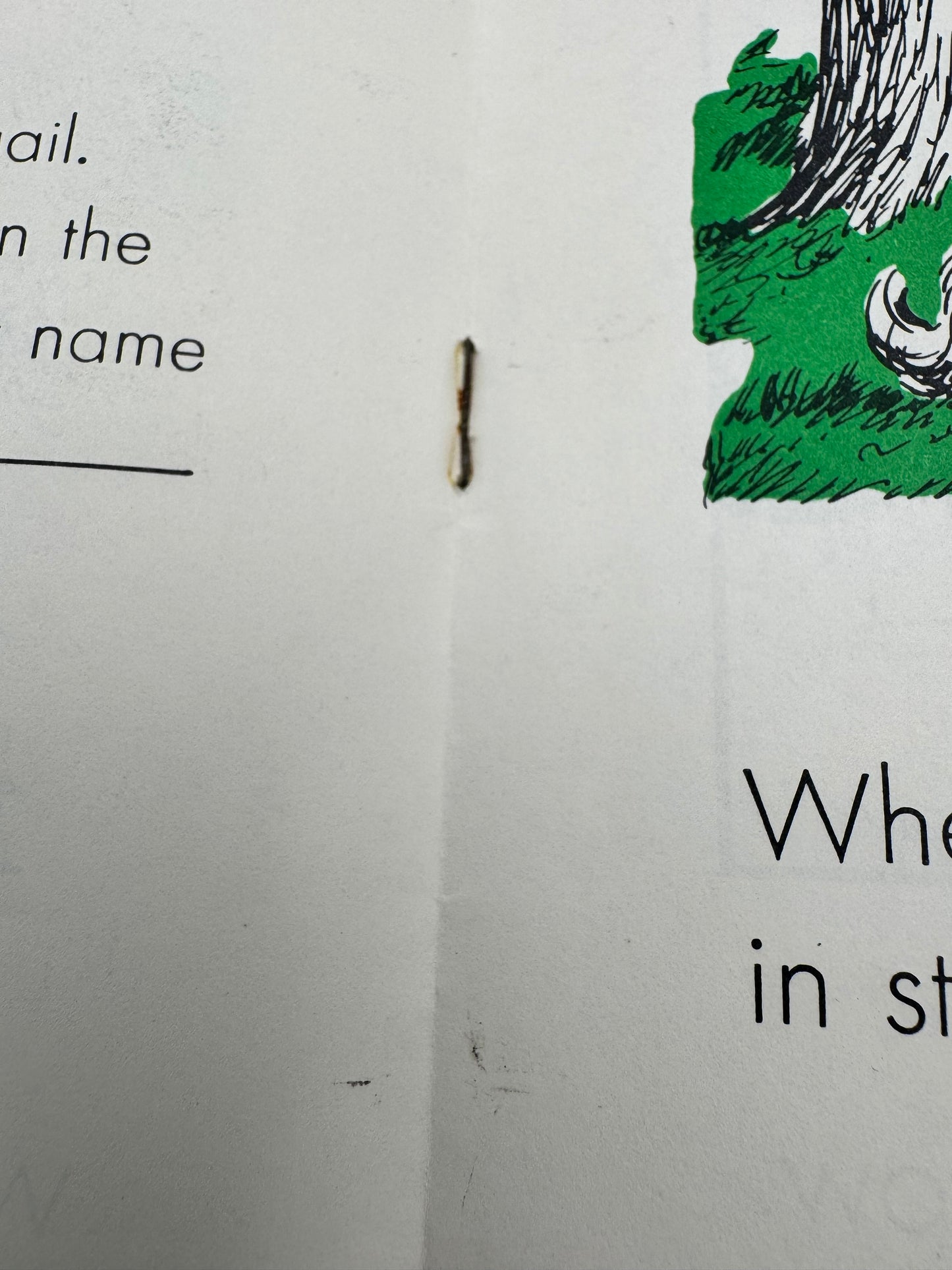 Vintage Smokey Bear Story Of The Forest Booklet