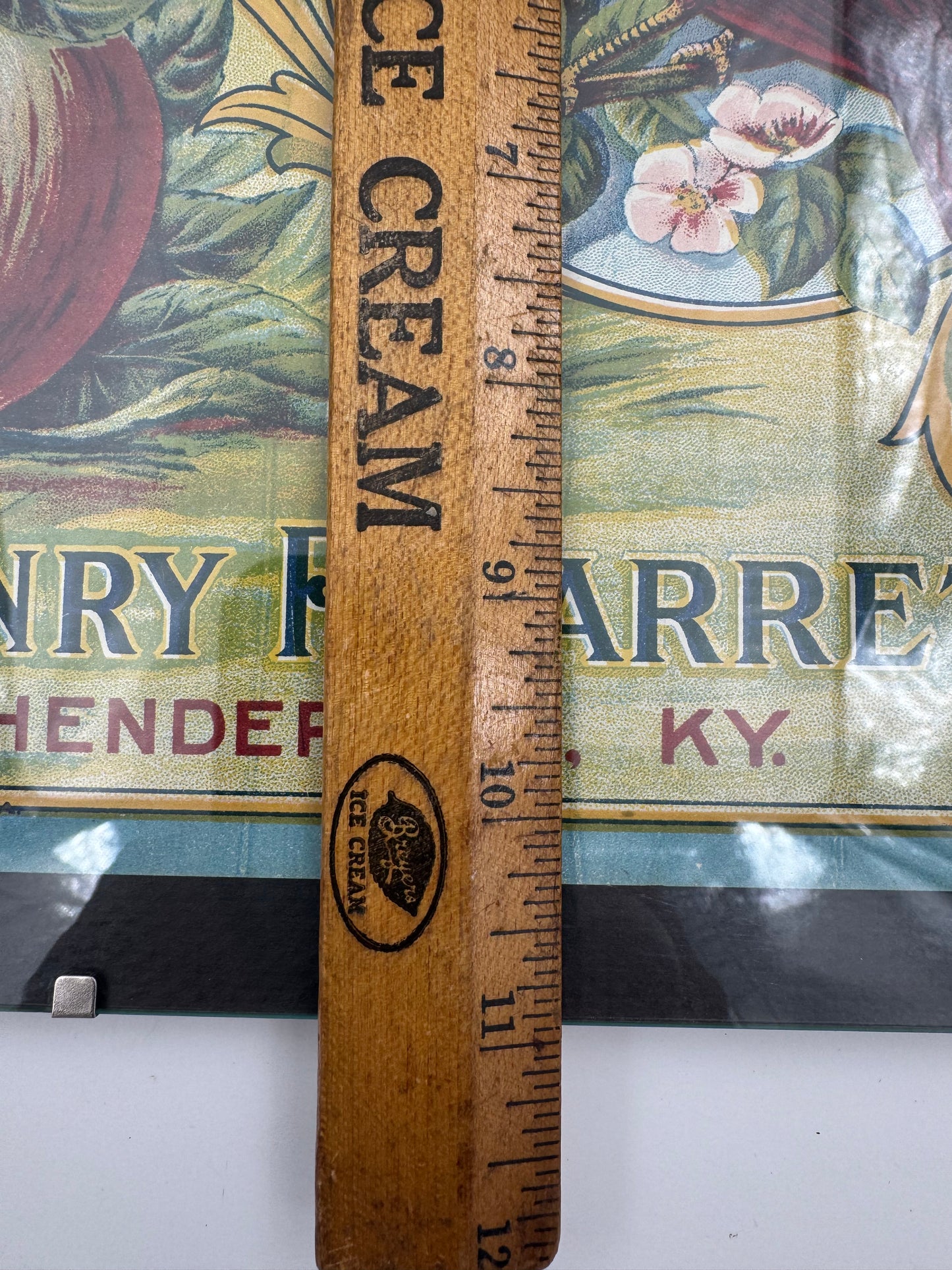 Vintage Kentucky Cardinal Apples Ad