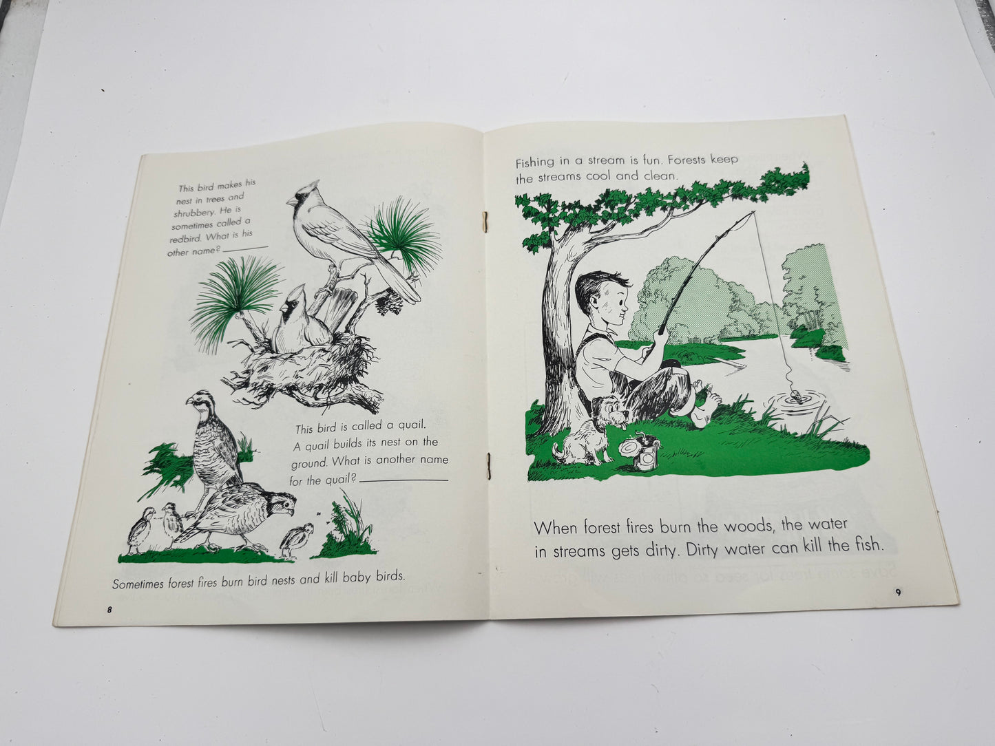 Vintage Smokey Bear Story Of The Forest Booklet