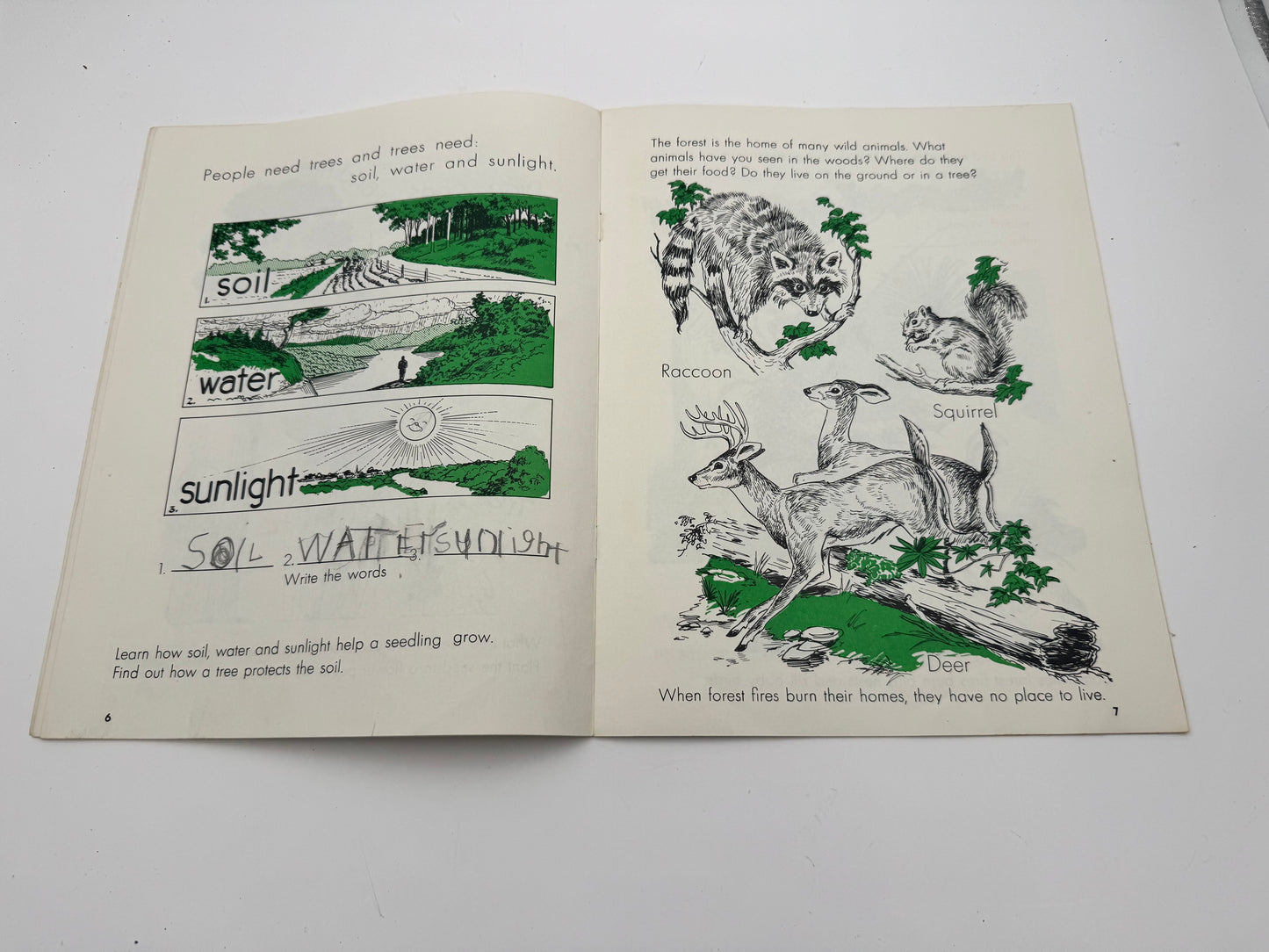 Vintage Smokey Bear Story Of The Forest Booklet