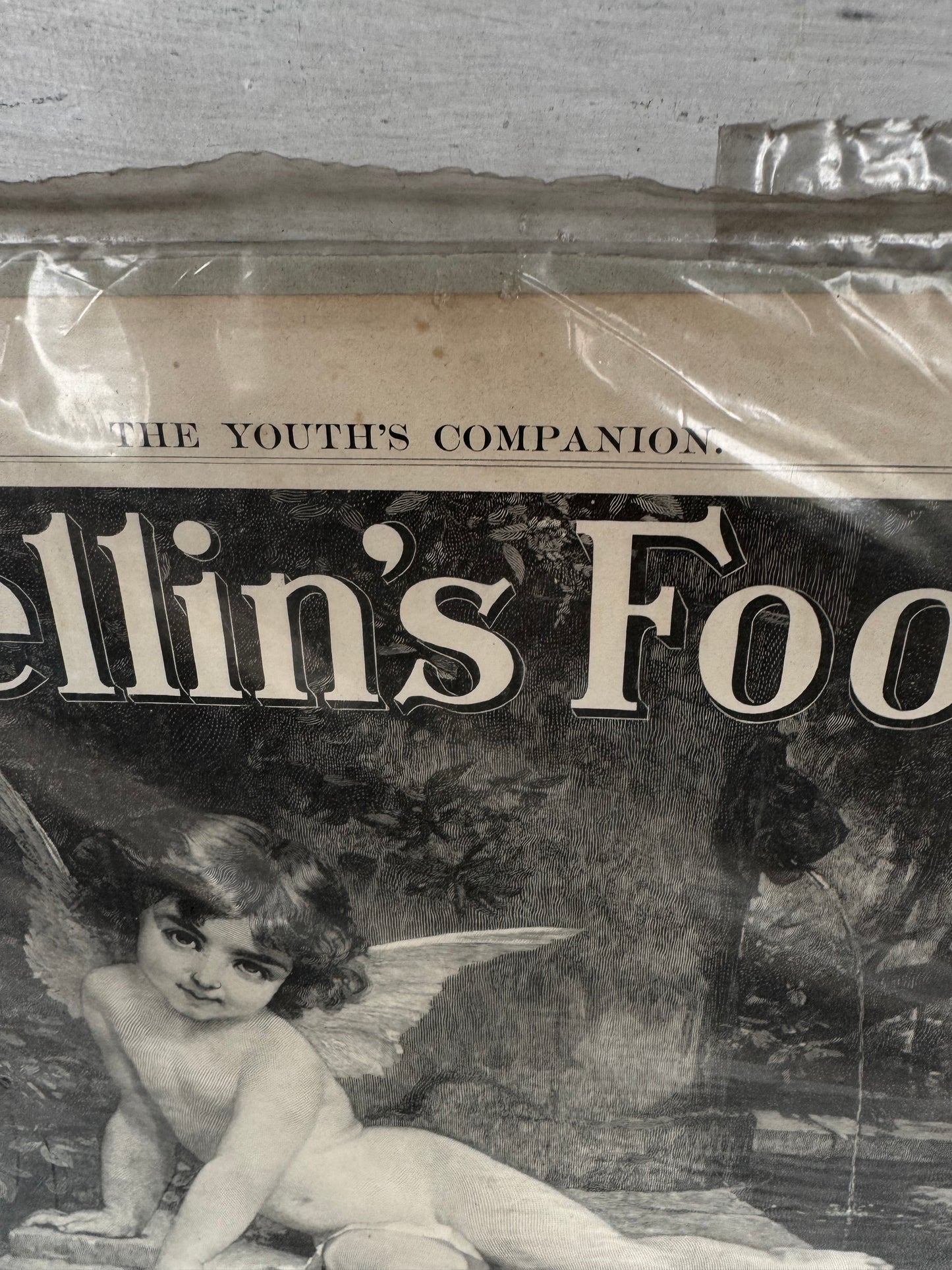 Vintage Mellins Food Ad 1894 Magazine