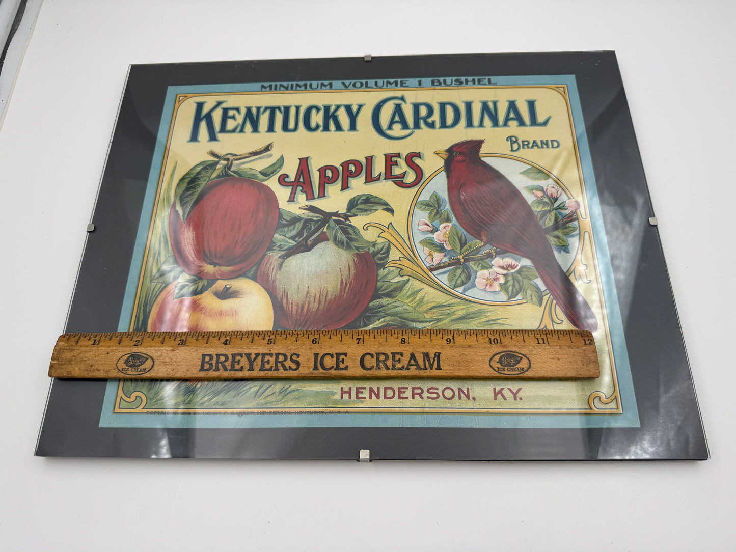 Vintage Kentucky Cardinal Apples Ad