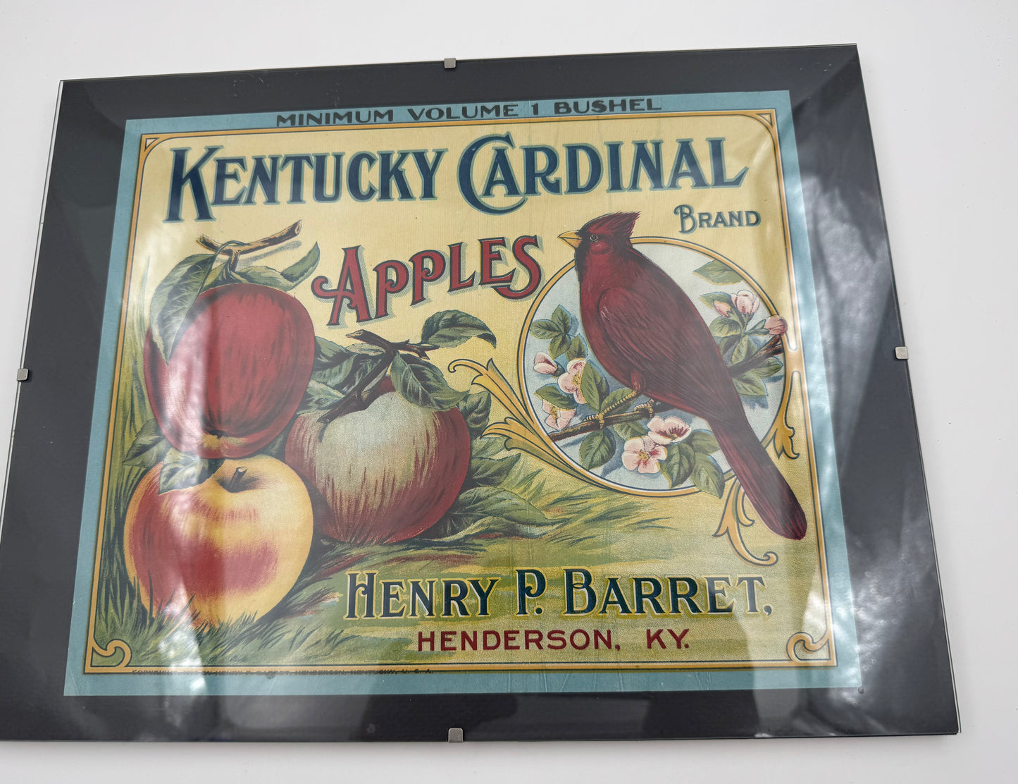 Vintage Kentucky Cardinal Apples Ad
