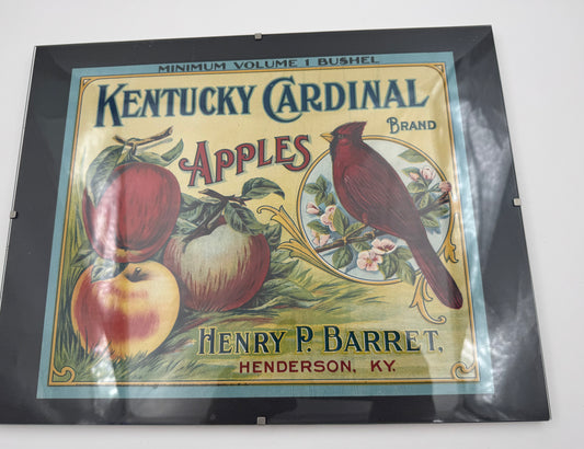 Vintage Kentucky Cardinal Apples Ad