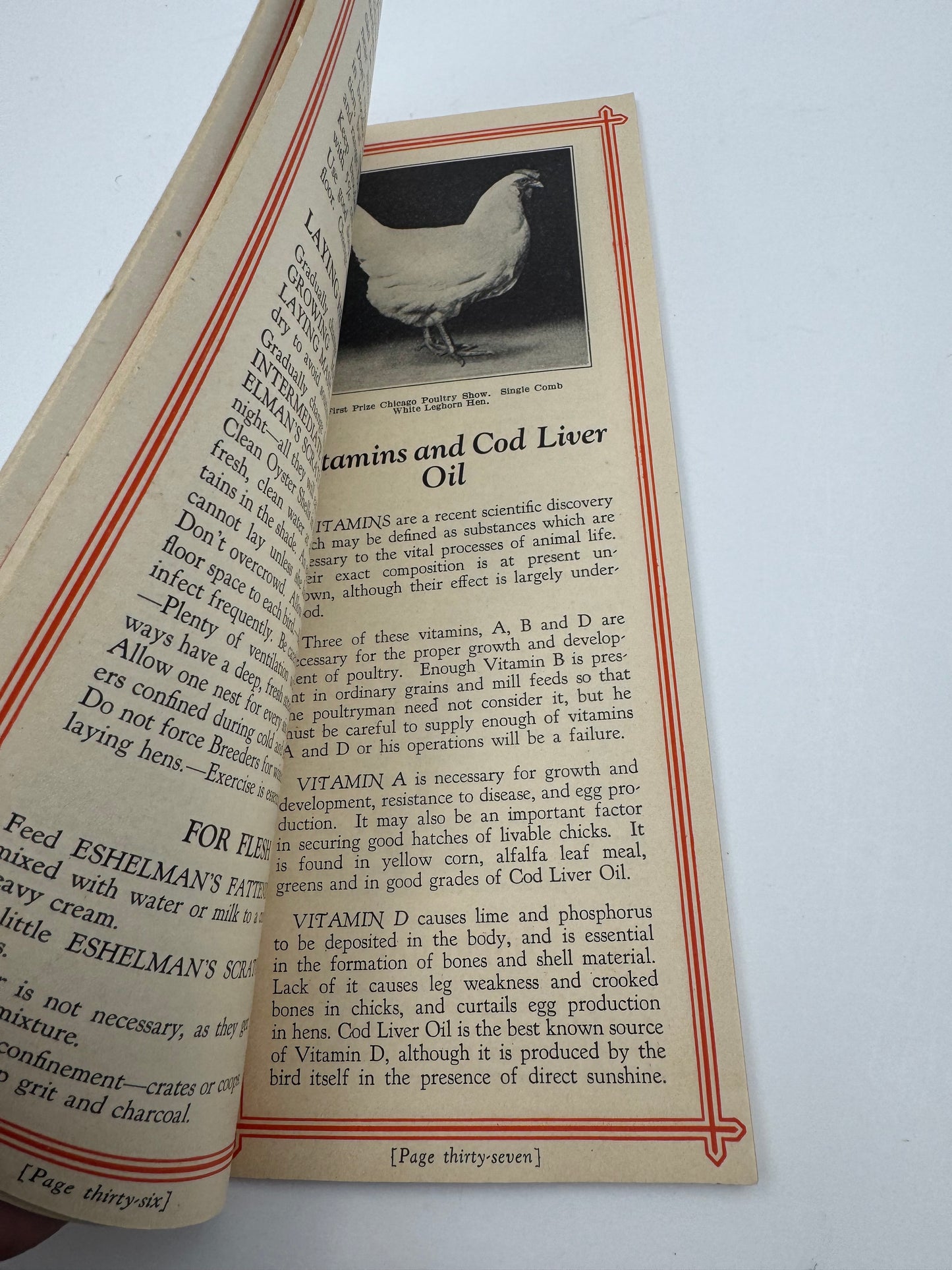 Vintage Eshelman’s Feeds How To Raise Poultry Brochure