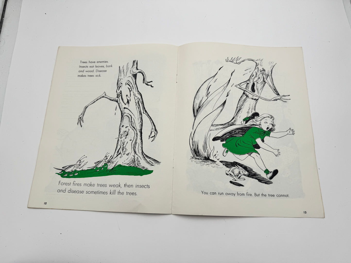 Vintage Smokey Bear Story Of The Forest Booklet
