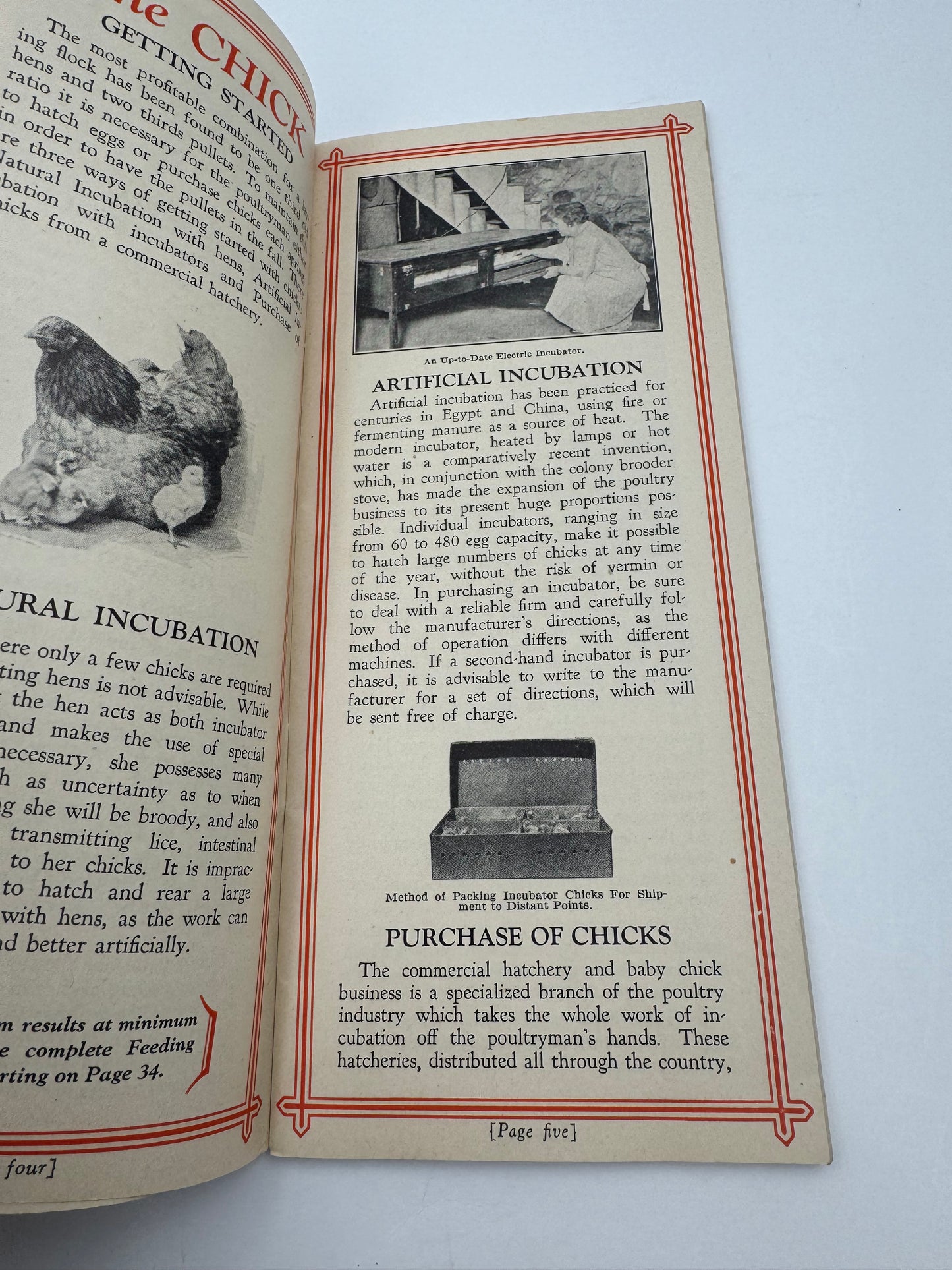 Vintage Eshelman’s Feeds How To Raise Poultry Brochure