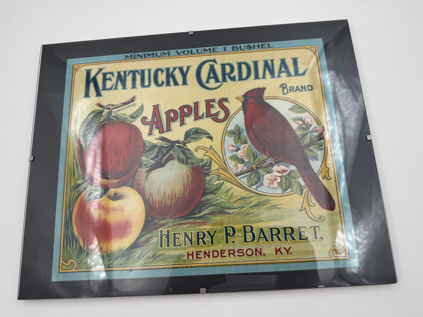 Vintage Kentucky Cardinal Apples Ad