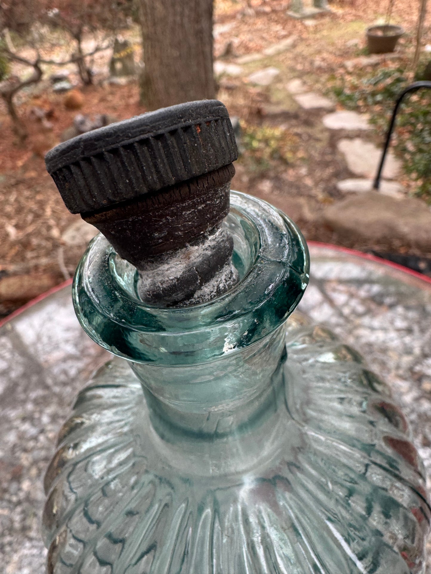Vintage Poison Bottle 14” Screw Top