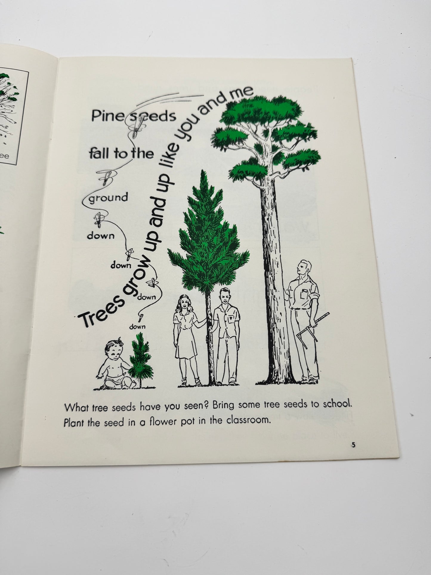 Vintage Smokey Bear Story Of The Forest Booklet