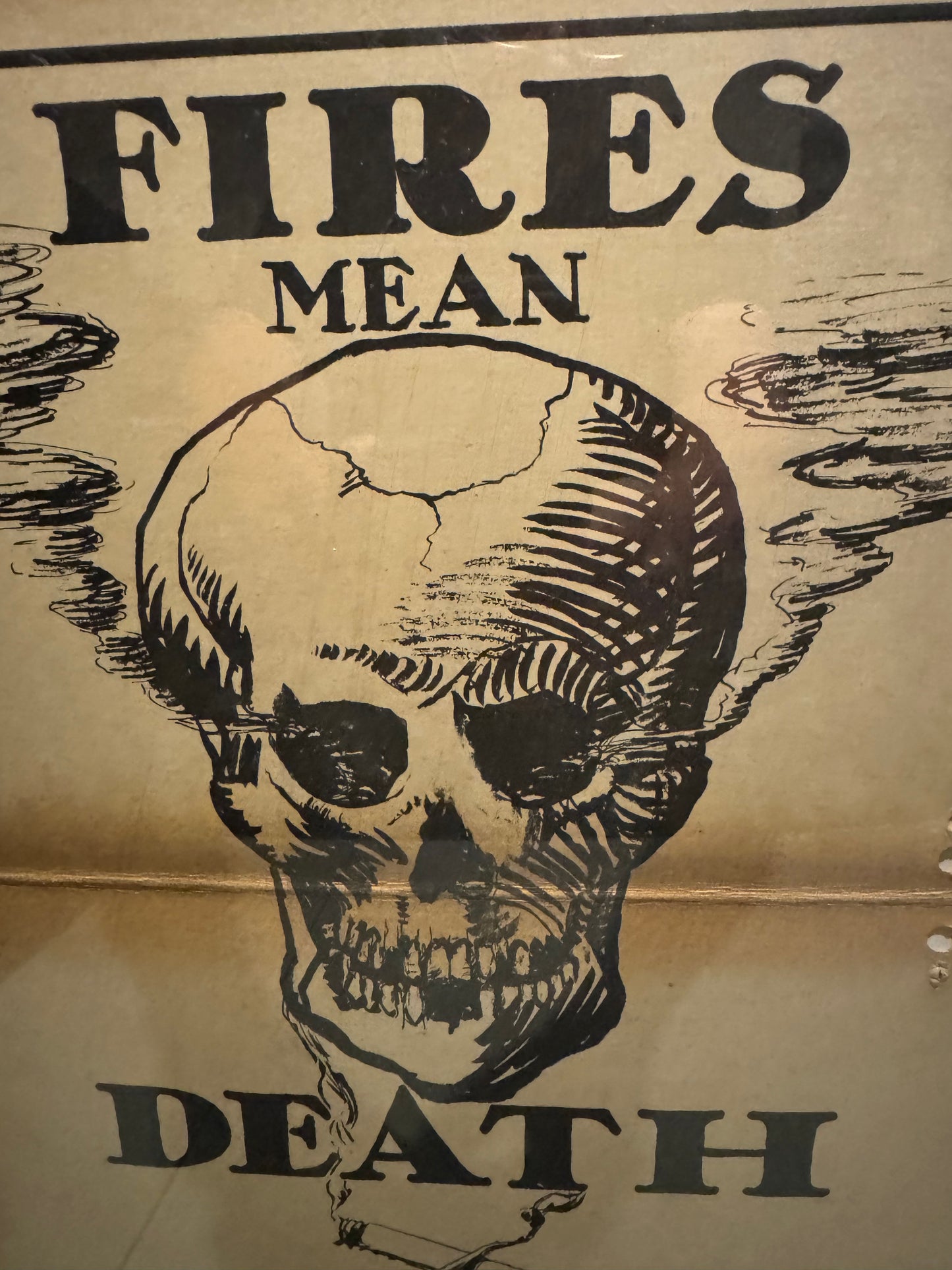 Vintage Forest Fire Poster Fires Mean Death