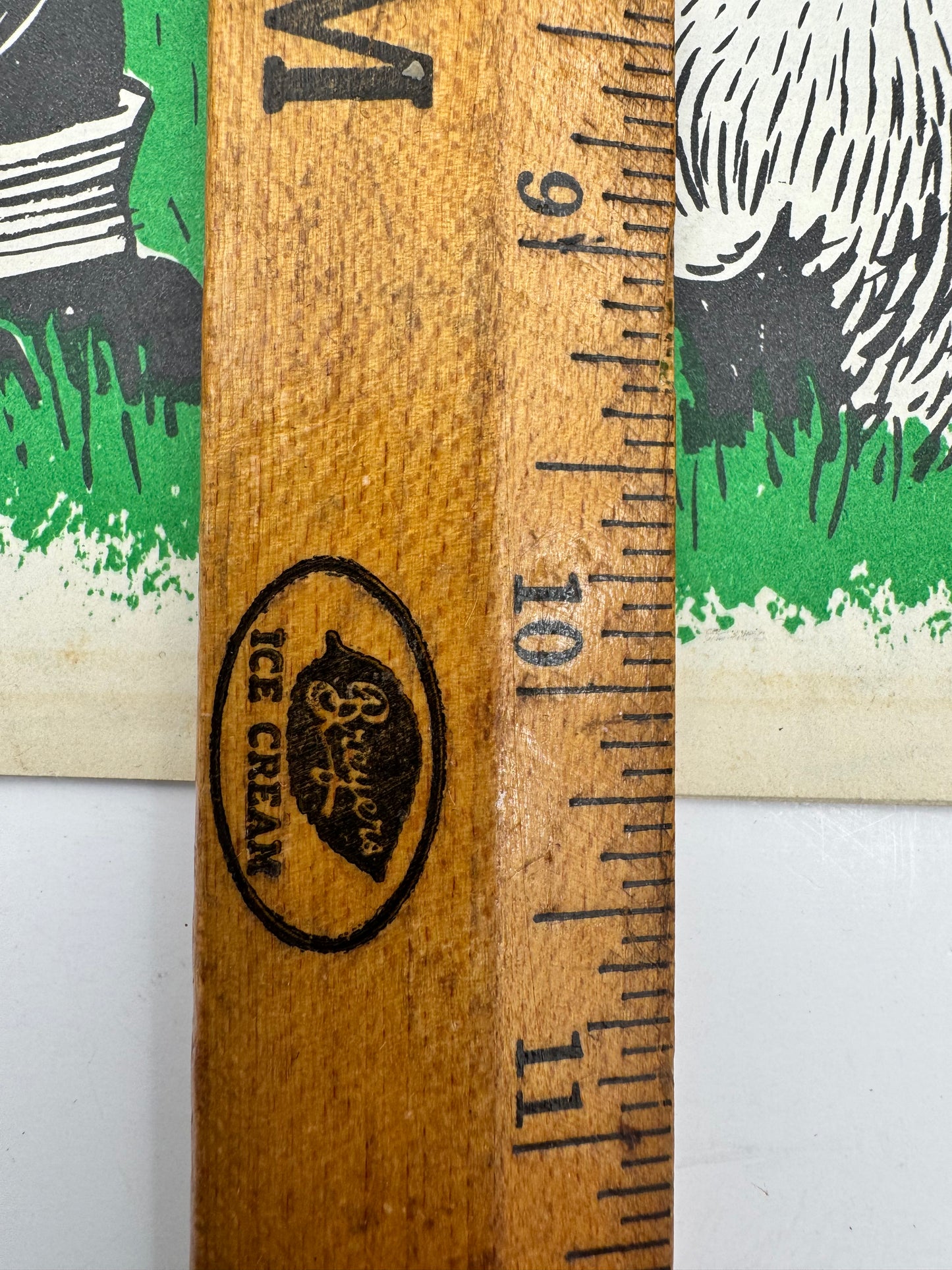 Vintage Smokey Bear Story Of The Forest Booklet