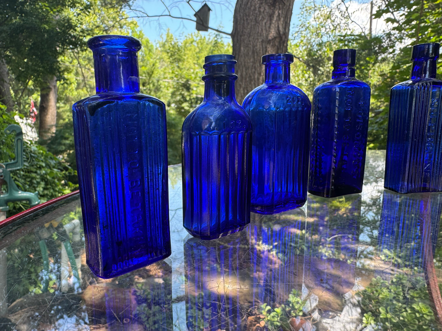 Vintage Poison Bottle Collection Cobalt Blue