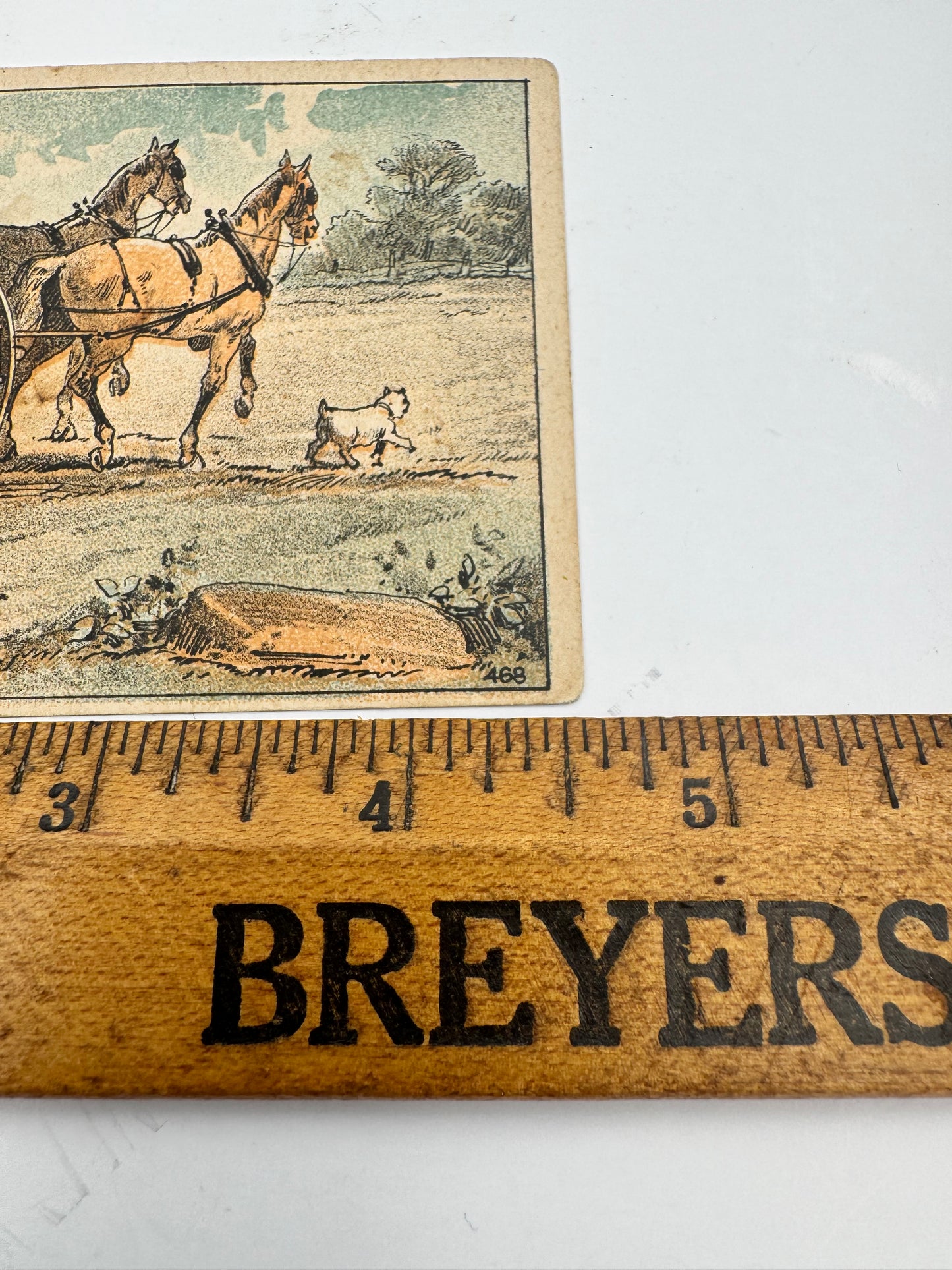 Vintage Trade Card Farmer Teaches Dogs To Plow