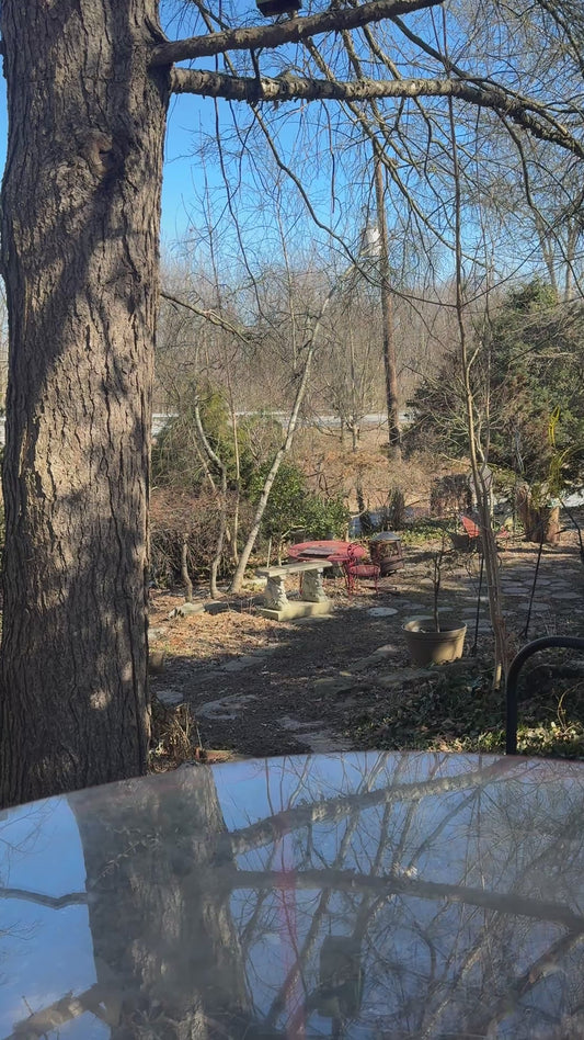 Vintage Sapolin Can Auto Top Dressing NOS