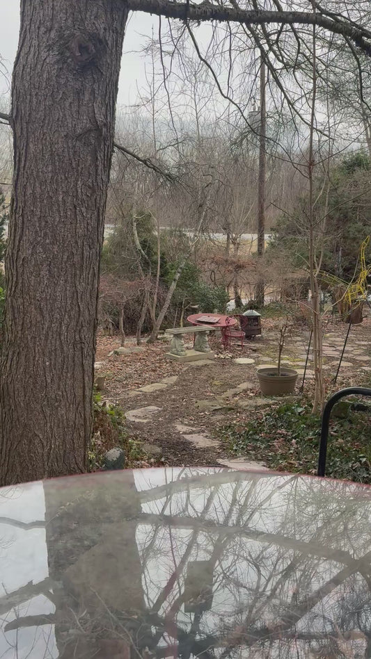 Vintage Wolfs Head Motorcycle Oil Plastic Bottle Empty