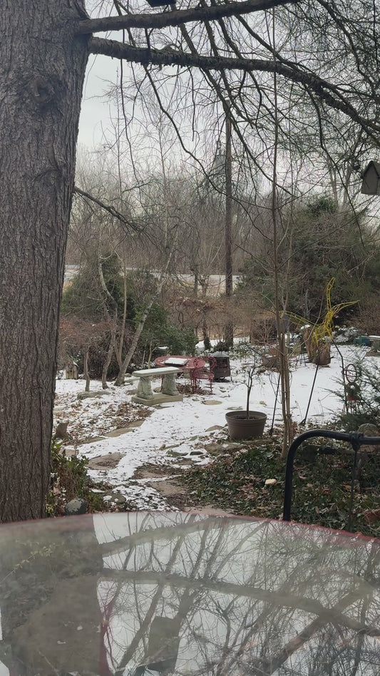 Vintage Cigar Box New Bachelor 1920s Wooden