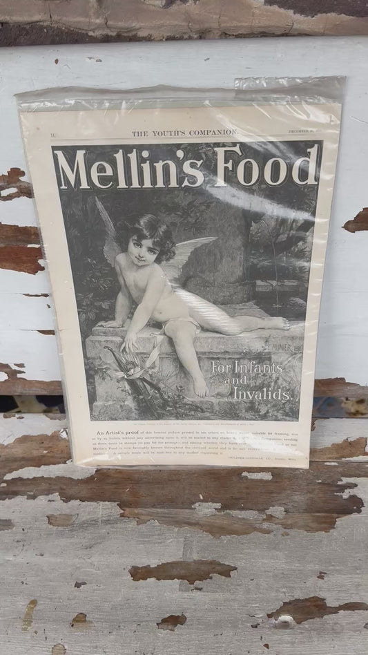 Vintage Mellins Food Ad 1894 Magazine