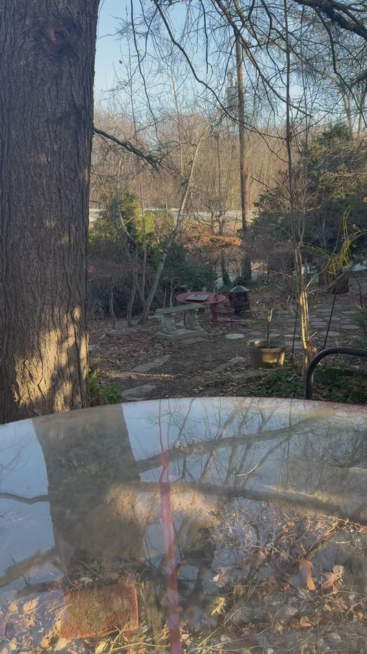 Vintage Cabinet Card Women On Brakeless Bicycles With Dog