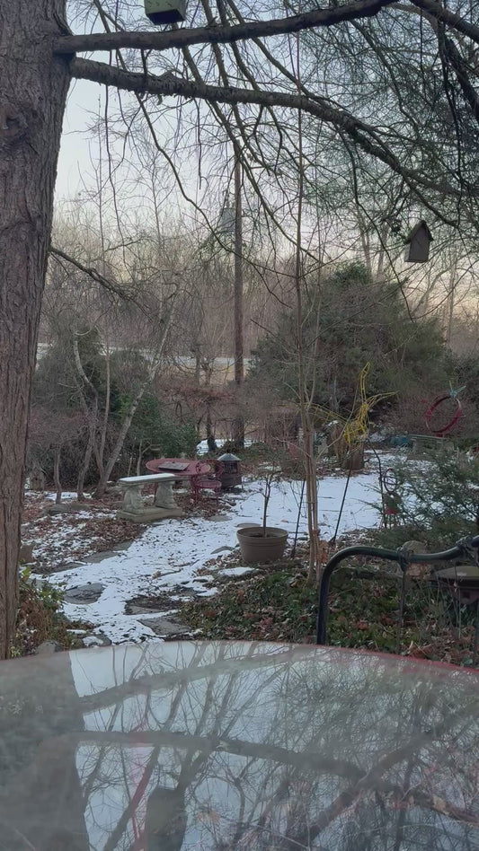 Vintage Seitz Beer Tip Tray